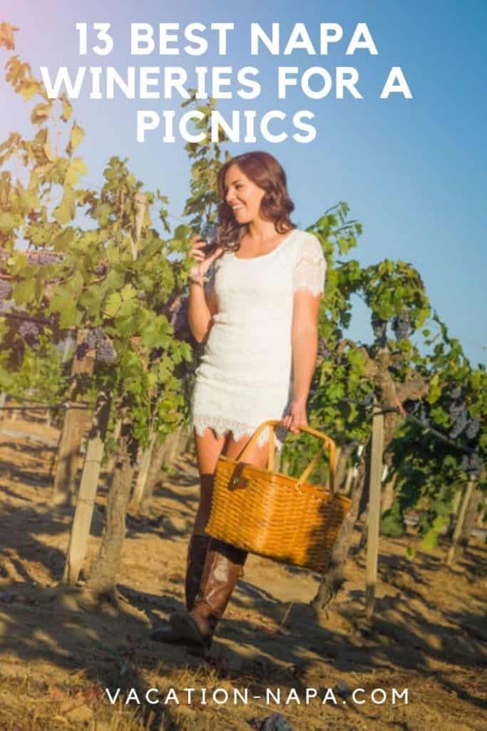Best 13 Napa Wineries For A Picnics